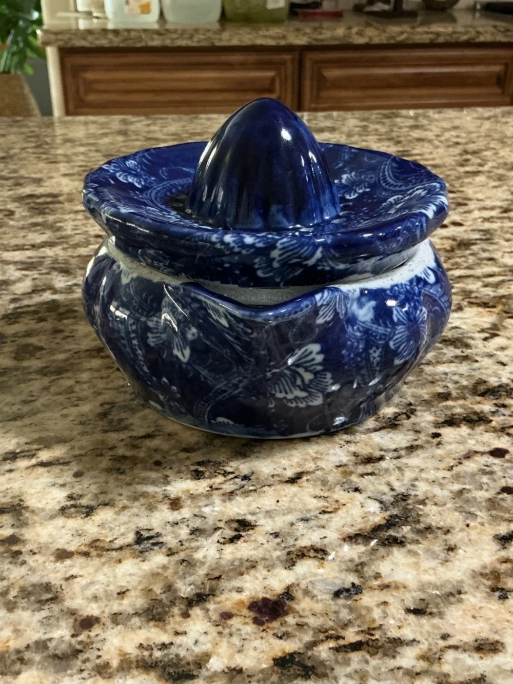 Cobalt ‘Flow Blue’ Chintz floral pattern